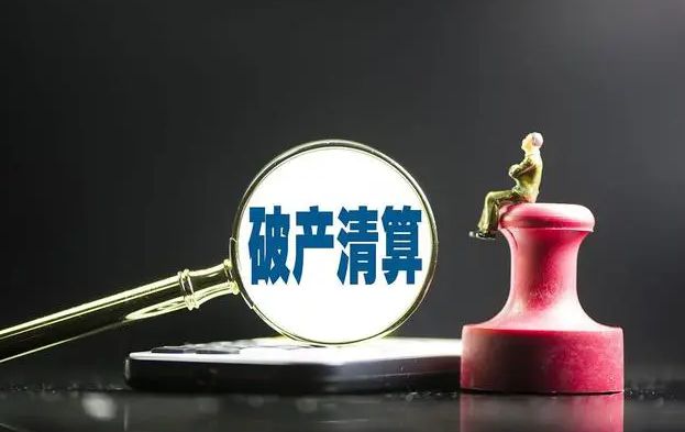 宜賓三家公司步入破產清算程序 專業(yè)服務護航市場出清
